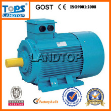 LTP Y2  Series Industrial Motor